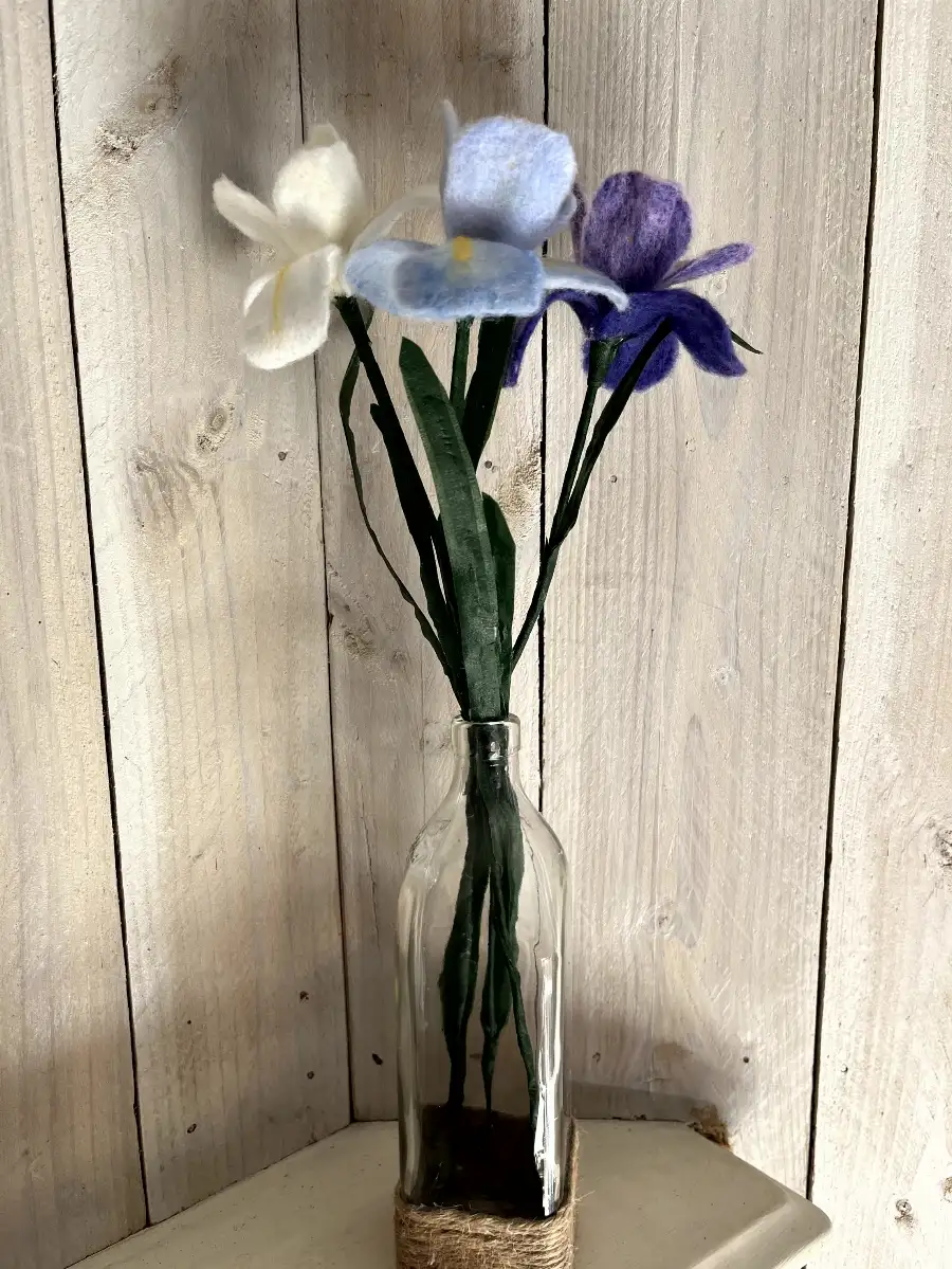 Iris