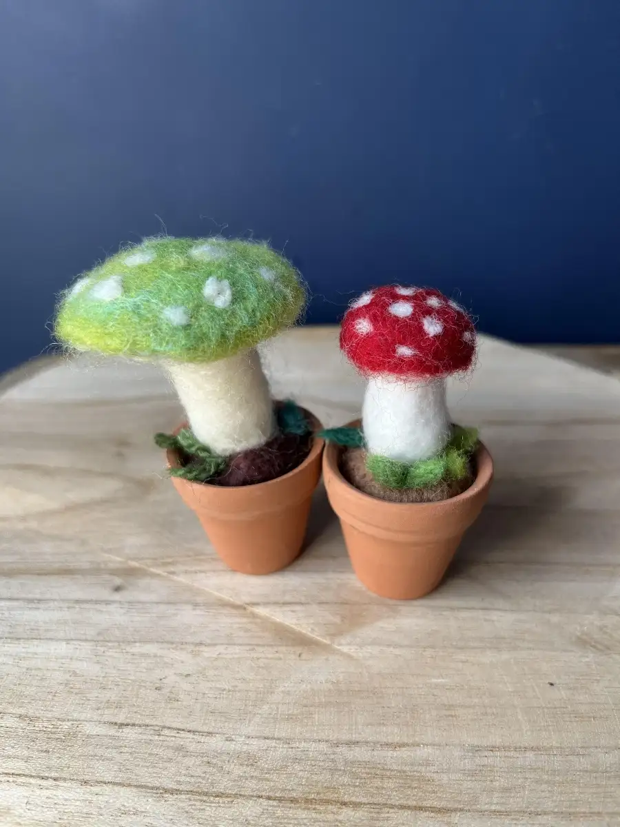 Champignons avec pot en terre