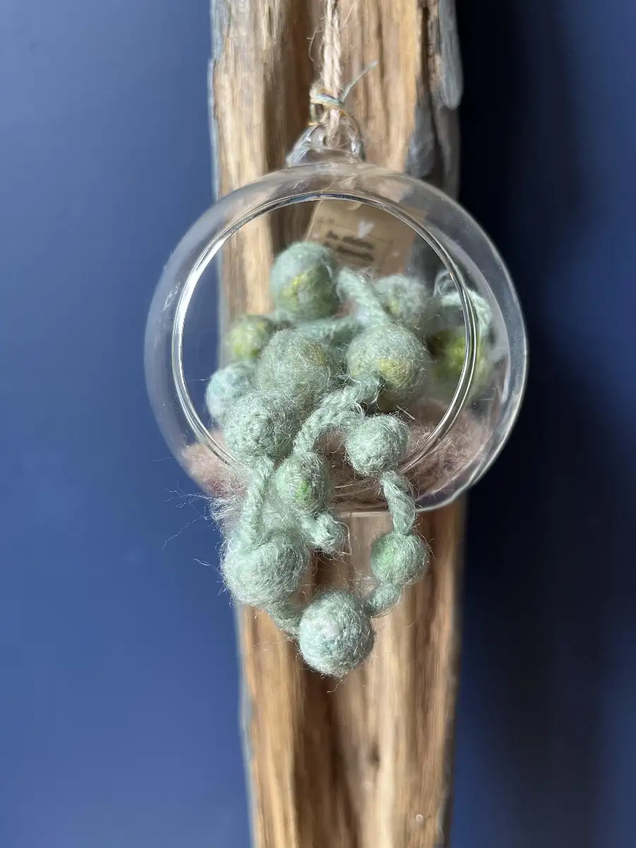 Suspension bulle - cactus tombant