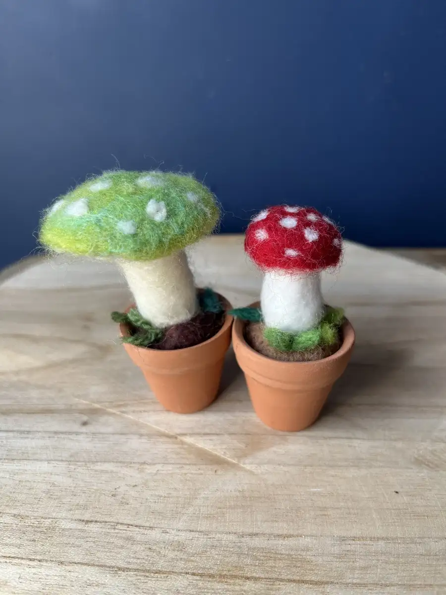 Champignons avec pot en terre