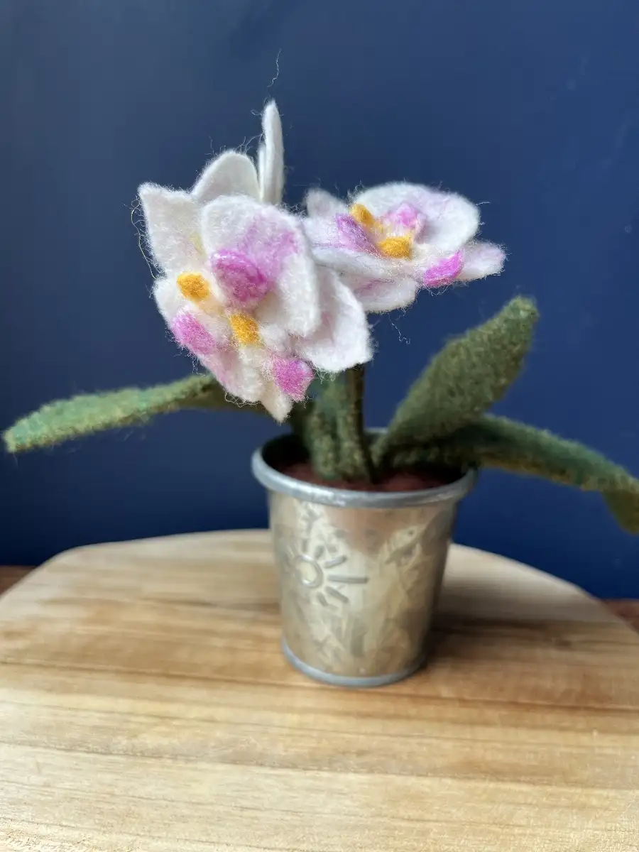 Petite orchidée