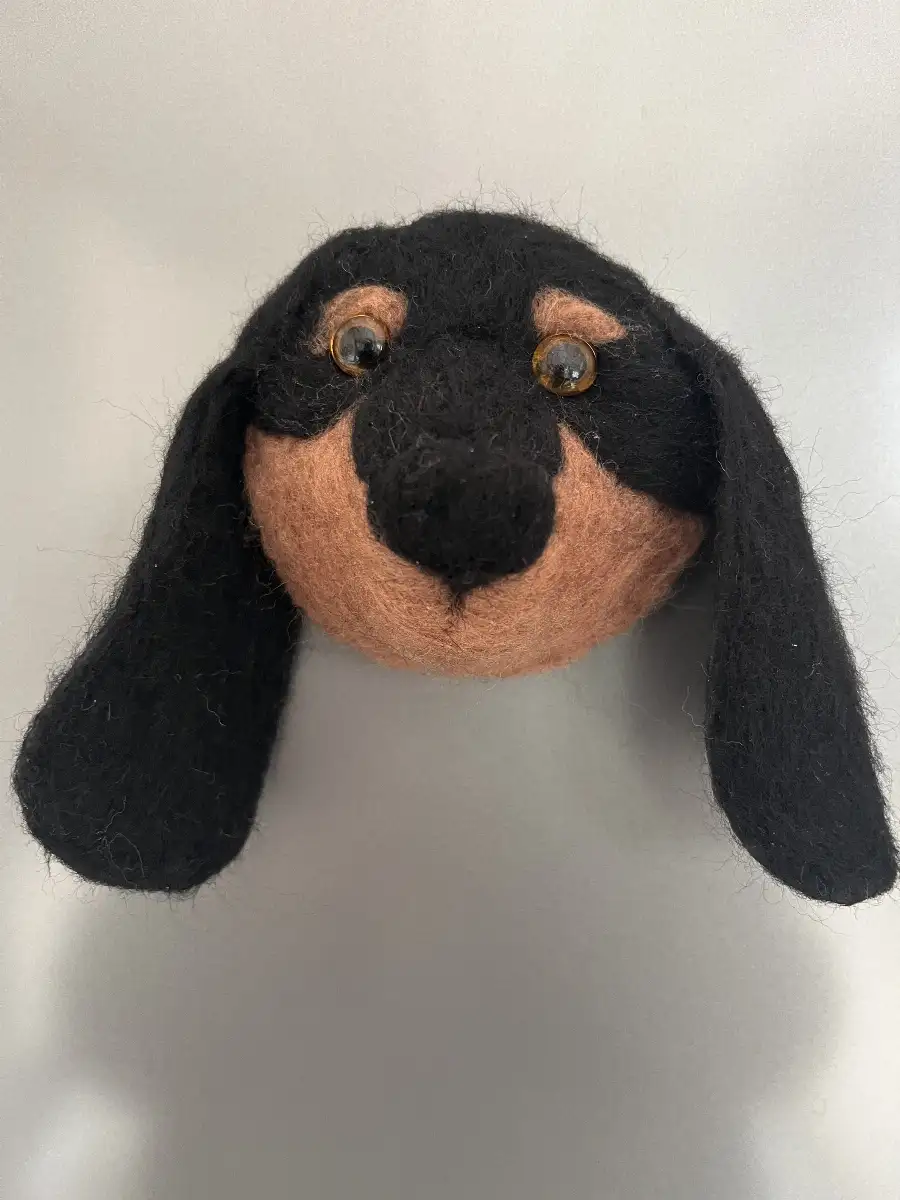 Magnets chien