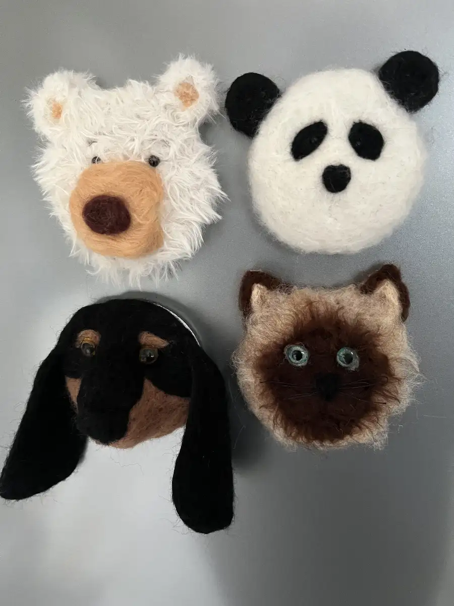 Magnets chat